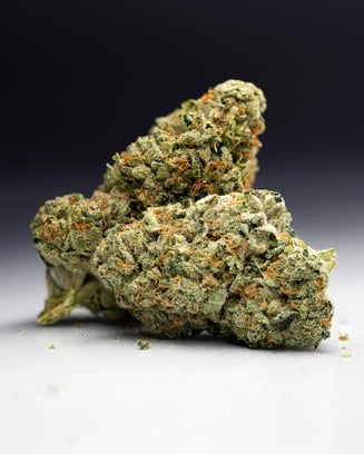 Louis XIII