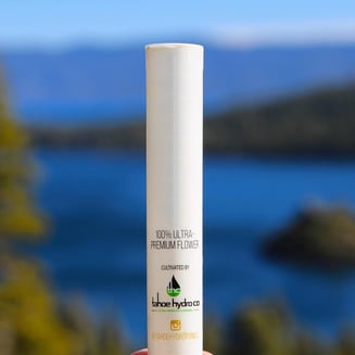 Z Crashers [1g] by Tahoe Hydro
