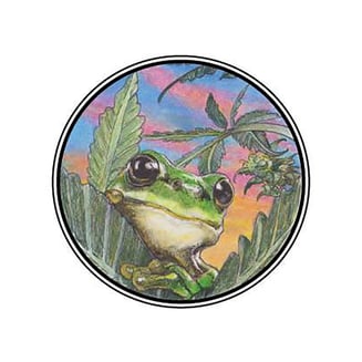 Alien Candy by Green Island Growers