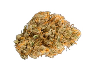 Acapulco Gold by G420