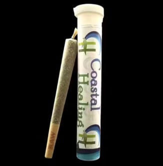 Coastal Healing - Chow Mein - Pre-Roll - Hybrid - 1g