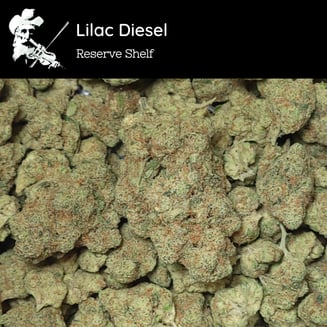 Lilac Diesel