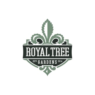 Apple Fritter by Royal Tree Gardens