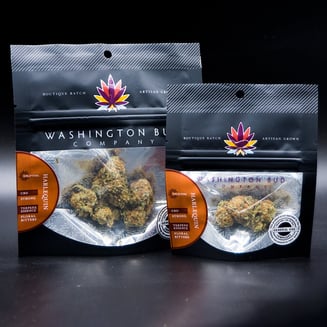 Harlequin by Washington Bud Company