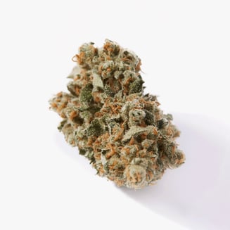 Dream Queen by Eve Farms