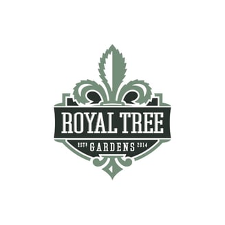 Bananaconda x Tallymon by Royal Tree Gardens
