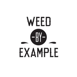 Baccio Gelato by Weed By Example