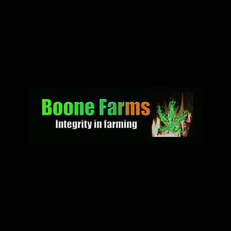 Yellow Gum by Boone Farms