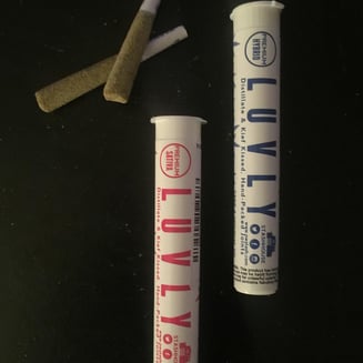 Euphoria CBD [.5g] by Stash House