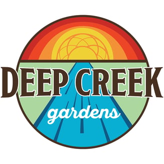 Ice Queen [.7g] by Deep Creek Gardens