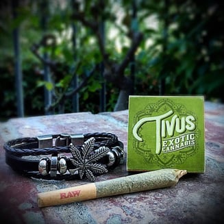 Dream Queen [1g] by Tivus