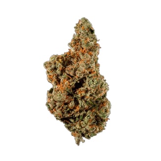 Black Jack by Creme Genetics