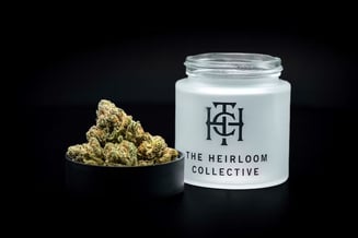 The Heirloom Collective - Grape Pie Bx1 - Flower - Indica -