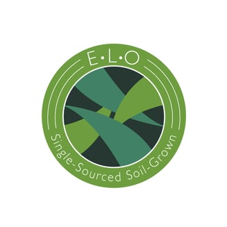 ChemD x I-95 [1g] by ELO