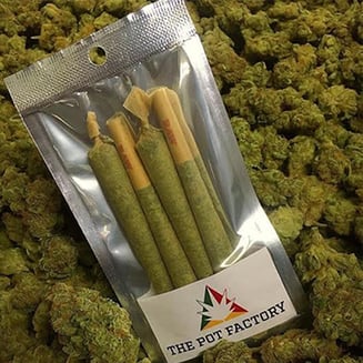 Cream Cookiez [.5g] by The Pot Factory