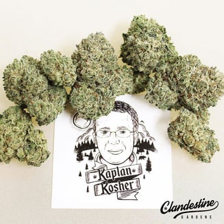 Kaplan Kosher by Clandestine Gardens