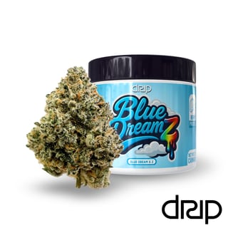 Blue Dream Z