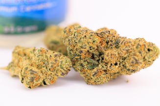 Grape Falls Diesel