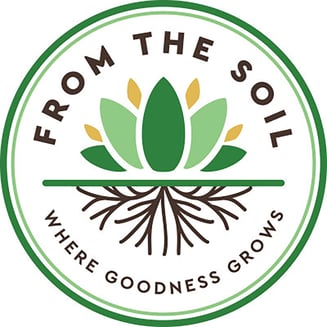 Daytime Mix by From The Soil
