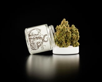 3C Farms — Jack Kraken