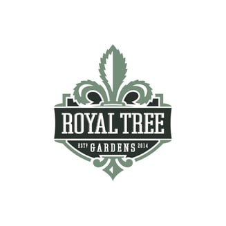 Blue Dream by Royal Tree Gardens