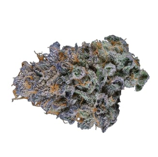 Cabo — Purpurea Kush