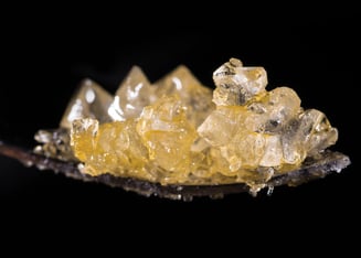 Yellow Gum by Quest Concentrates