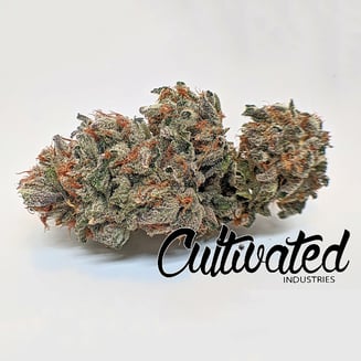 Apple Fritter by Cultivated Industries