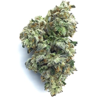Kush Company — Sour Power OG