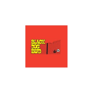 Yellow Gum [1g] by Black Dog Bud