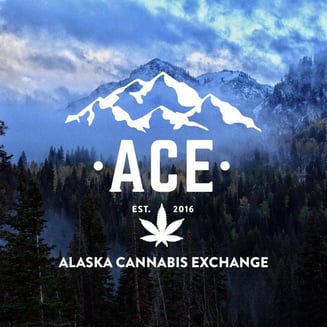 Atomic Wifi [.5g] by Alaska Cannabis Exchange