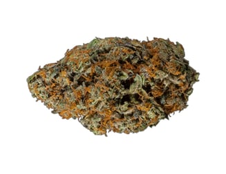 Poppy’s: Gelato