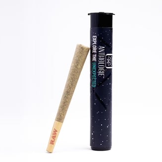 The Vault - Kashmir Kush - Pre-Roll - Hybrid - 1g