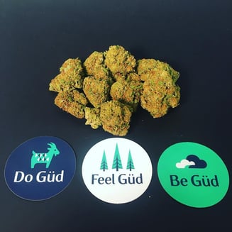 Apple Fritter by Güd Gardens