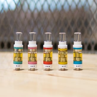 Key Lime Pie by Orchid Essentials