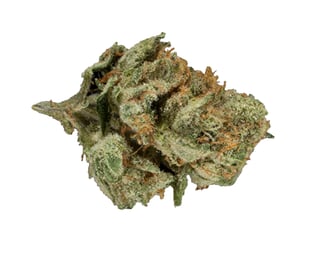 Apple Cider by Farm Science
