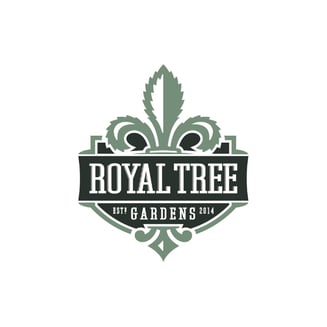 Beach Wedding [1g] by Royal Tree Gardens