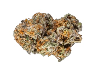 9 Pound Hammer by SugarTop Buddery