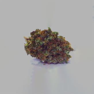 Kaptain Hook by Great Alaskan Bud Company