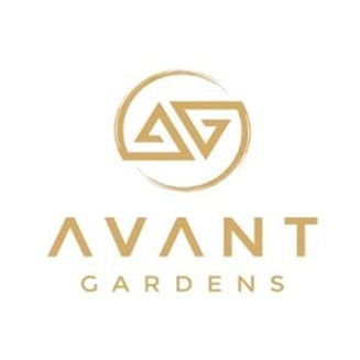 Cream Cookiez [1g] by Avant Gardens
