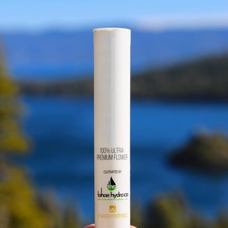 New York Cheesecake [1g] by Tahoe Hydro