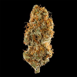 Van Diesel by Purple Frost Genetics