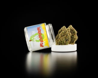 3C Farms — Sasquatch Sap