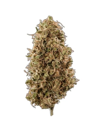 Poppy’s: Lemon Haze