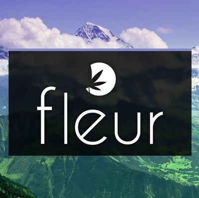 fleur vapes blue diamond Bloom City Club (Paw Paw) main image 1