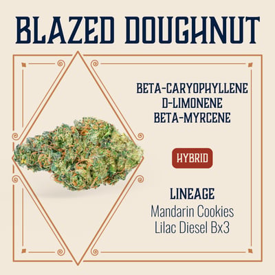 Image 1 for Blazed Doughnut, a hybrid product Image 1 for Blazed Doughnut, a hybrid product