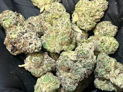 Shop Lemon Cherry Gelato | Peake ReLeaf Dispensary Rockville, MD