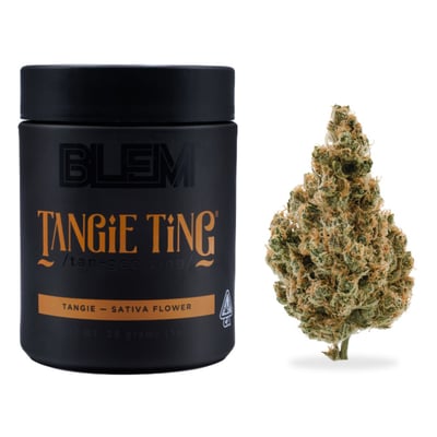 WEEDページ　Tangie 300ml Tangie punch feminized cannabis seeds using the tangerine genetics