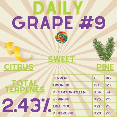 Shop Daily Grapes | Carver Family Farm Dispensary Albuquerque, NM