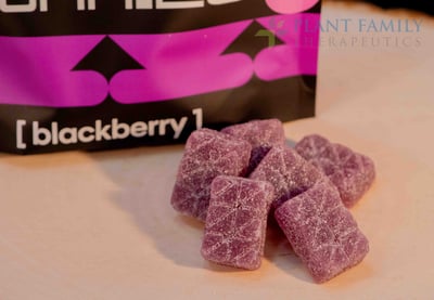Shop Multi-Dose CODES XTREME Blackberry [10pk] (1000mg) | Plant